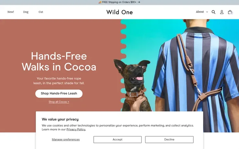 Screenshot of the Wild One homepage